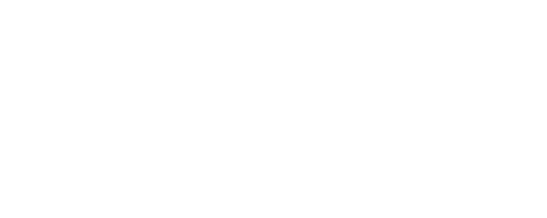 NE Logo white